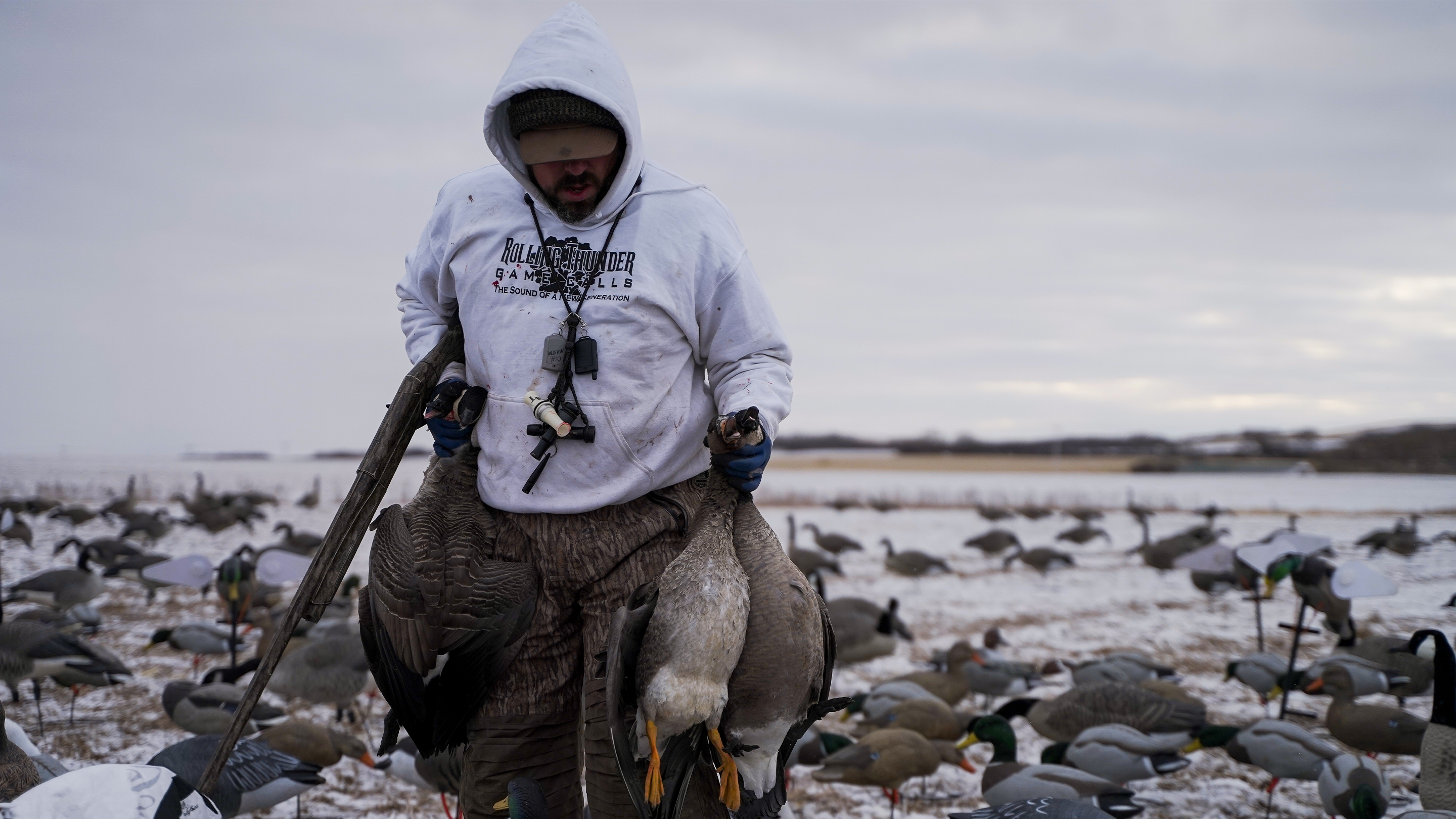 Goose Calls