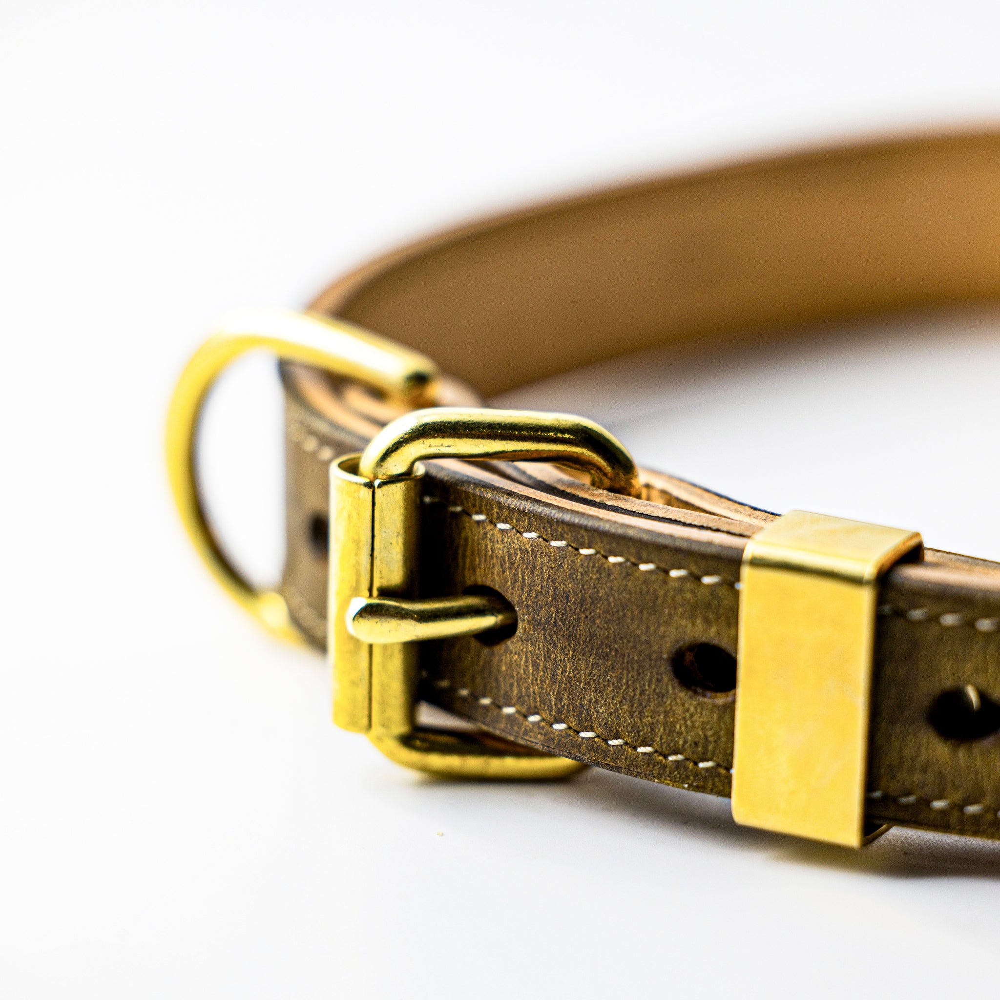 Leather Dog Collar with Mossy Oak Bottomland In-lay