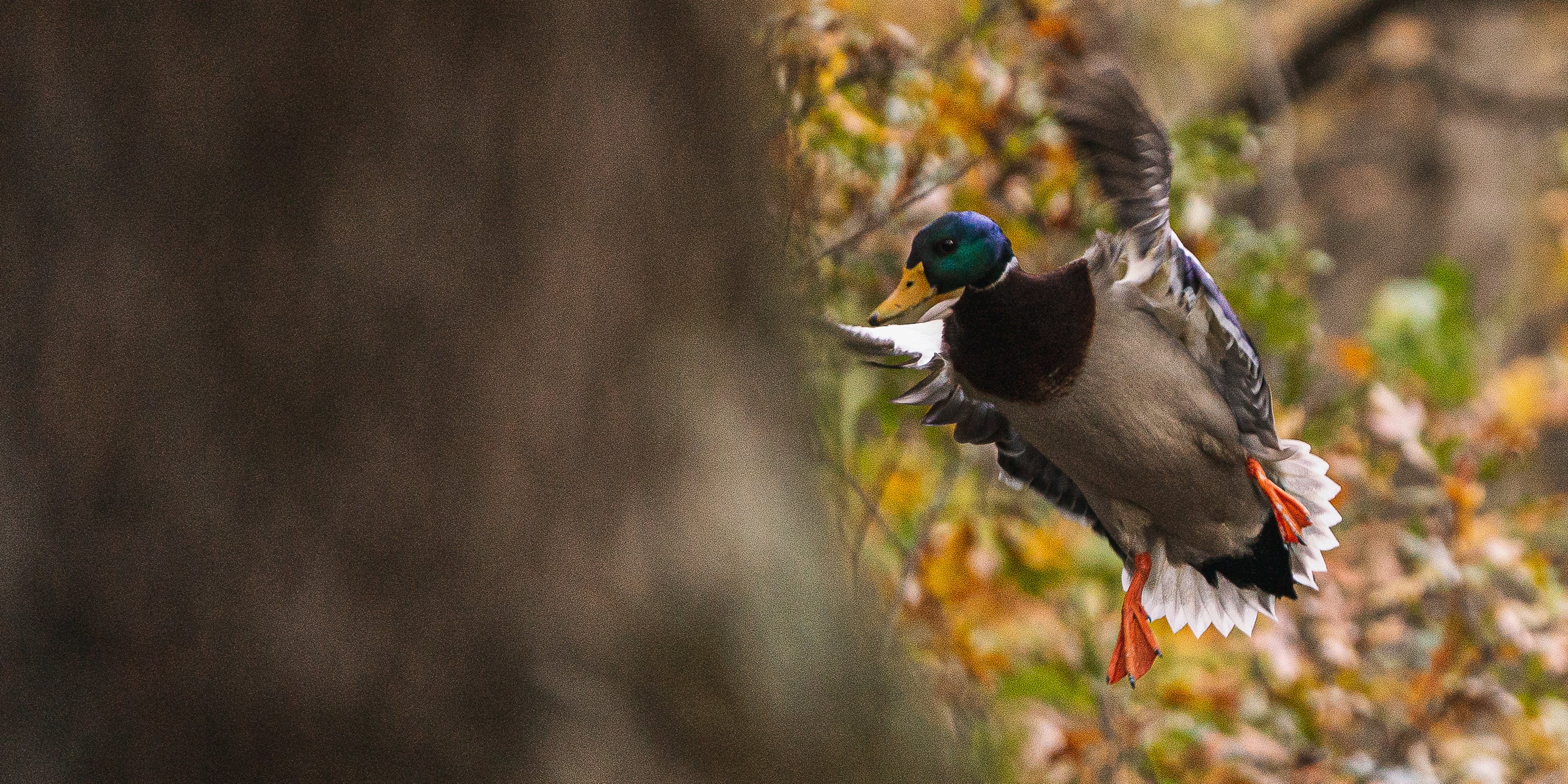 Duck Calls - Rolling Thunder Game Calls
