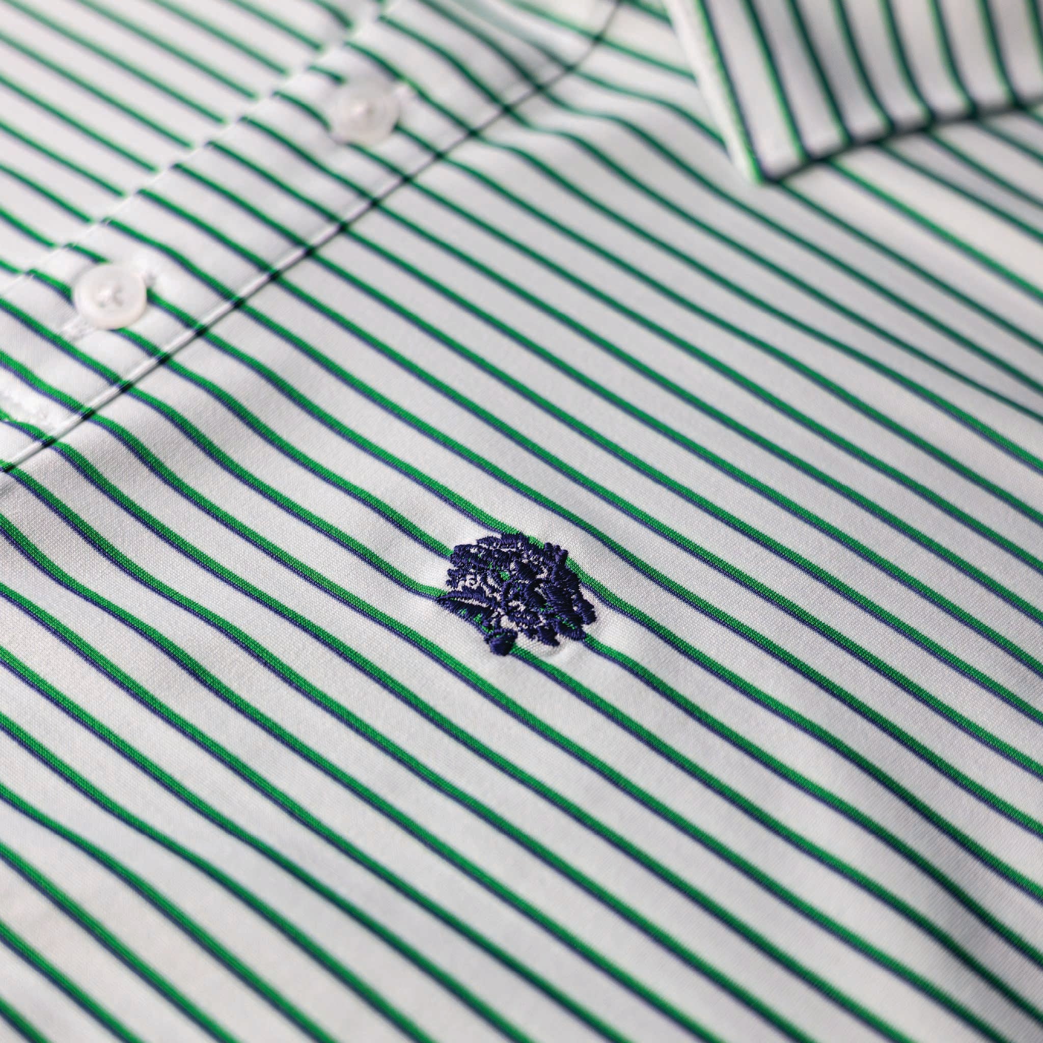 Performance Polo | Green & Blue Stripe